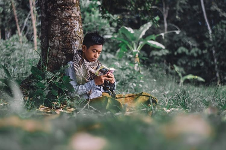 Foto ilustrasi oleh Darwis Alwan/Pixabay. Foto ilustrasi oleh Darwis Alwan/Pixabay.
